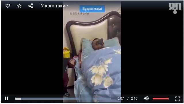 У кого такие