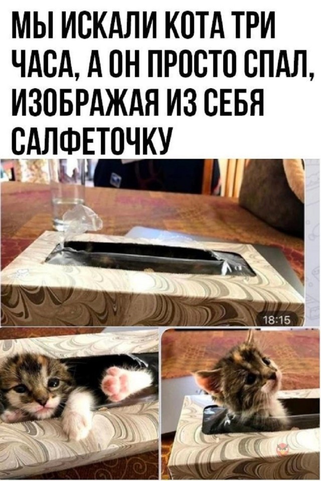 Так себе картинки 19.06.26