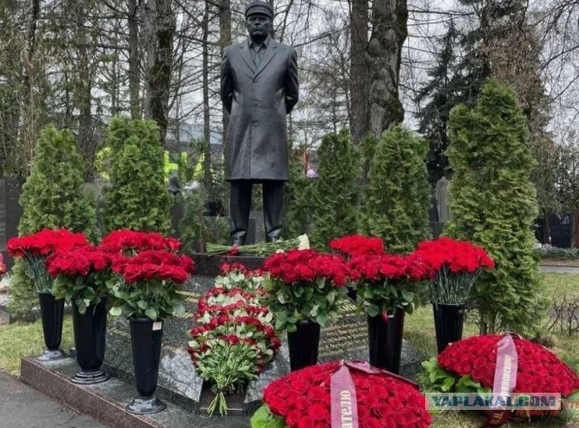 Эх, Вольфович, провидец-экстрасенс