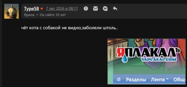 Психомемы-13