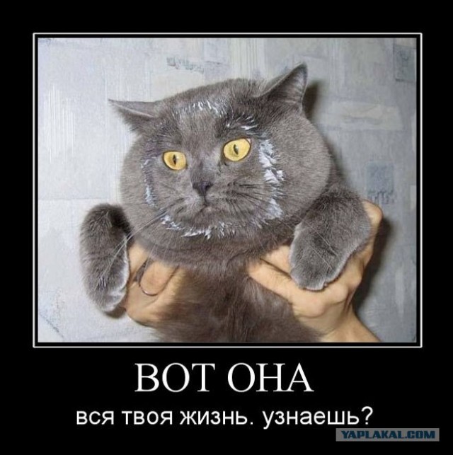 Унываторы (19 фото)