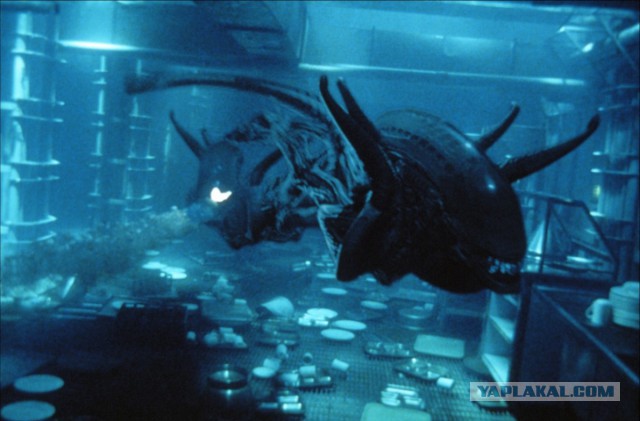 Марианская впадина