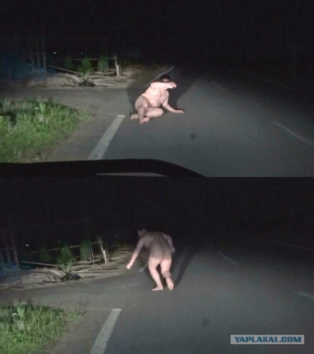 Легитимный Янукович вещает: