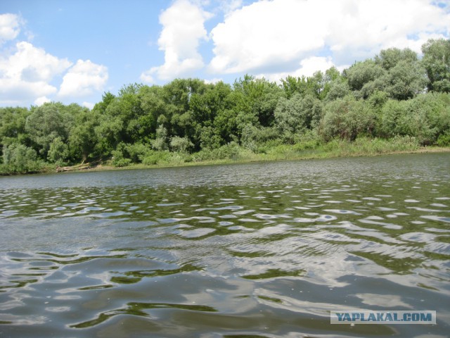 Сплав на байдарке по реке Ока.
