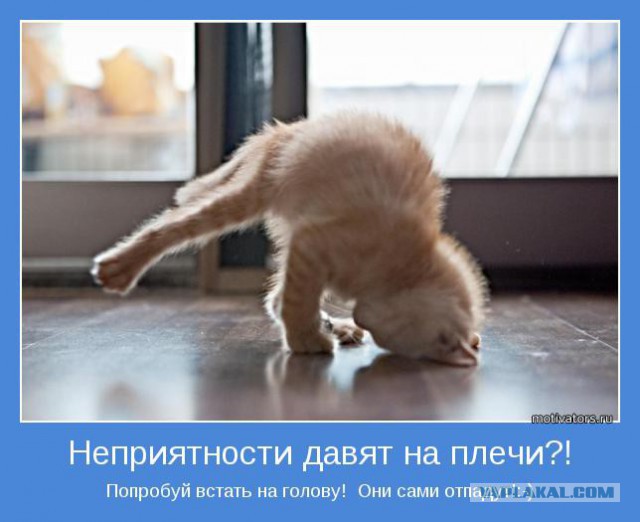 Добряки, плюсующие всех подряд