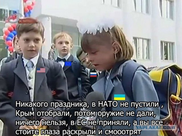 Смешные картинки