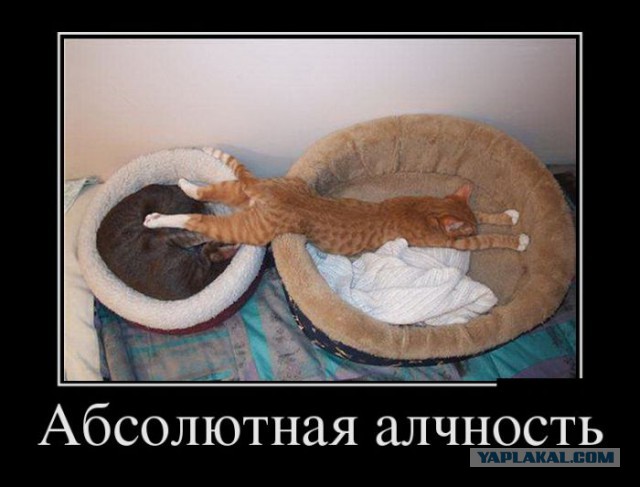 В тесноте, да не в обиде