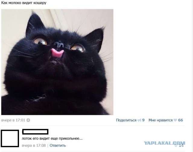 Смешные комментарии из социальных сетей