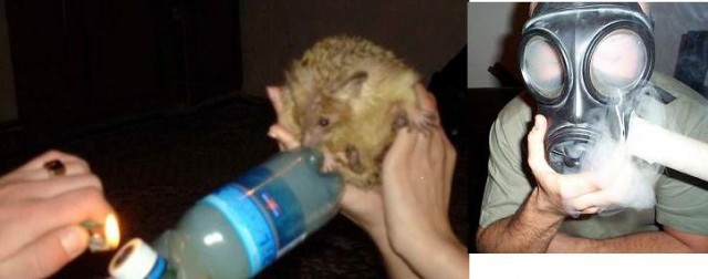 Сумасшедший профессор Николя