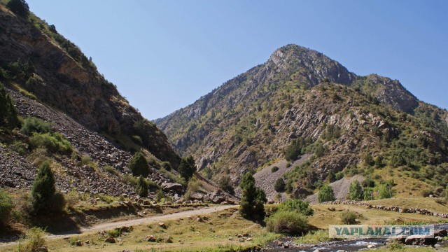 Самая красивая дорога в моей жизни.