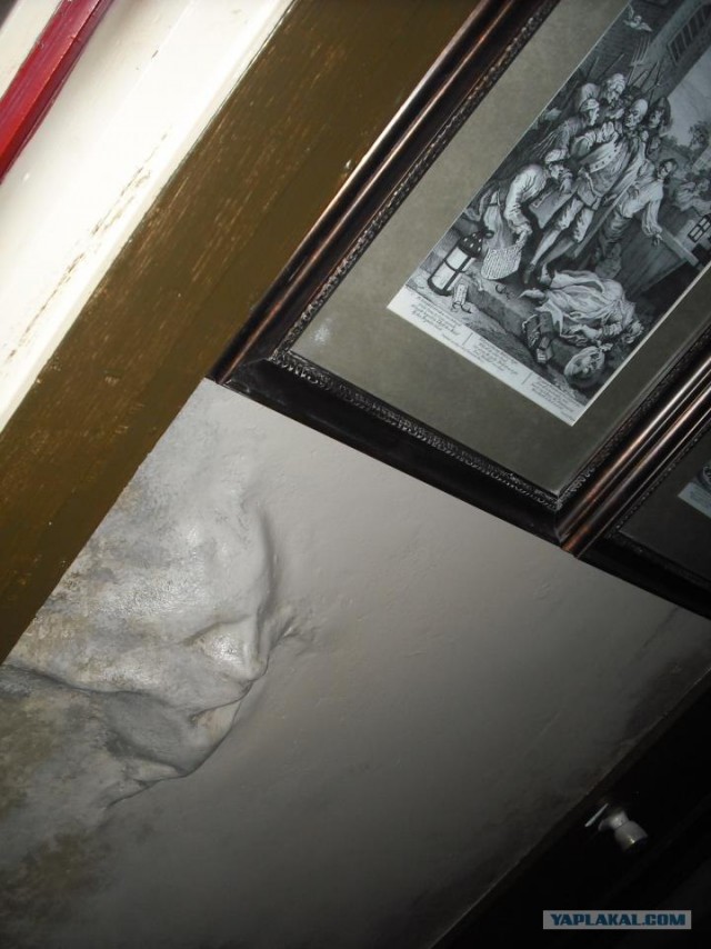 "Дом ужасов" собственными руками.