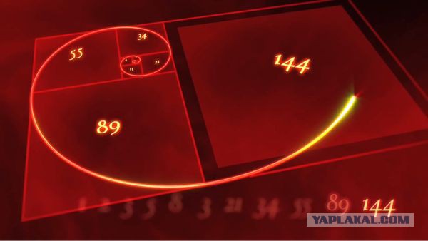 Золотые пропорции