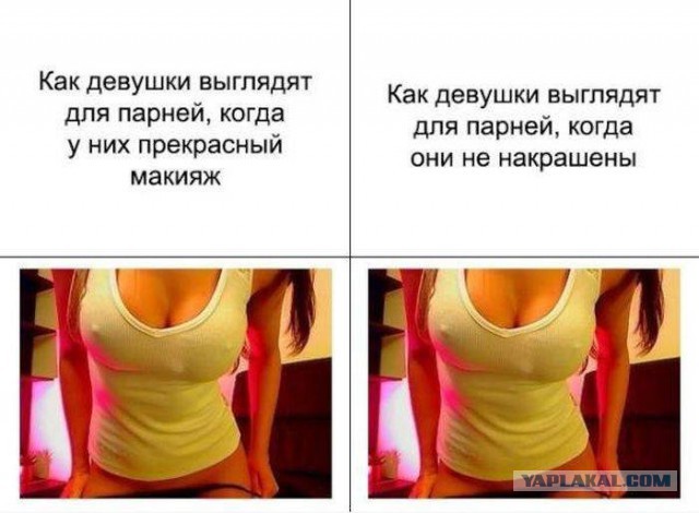 41 веселая картинка