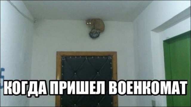Картинки на пятницу