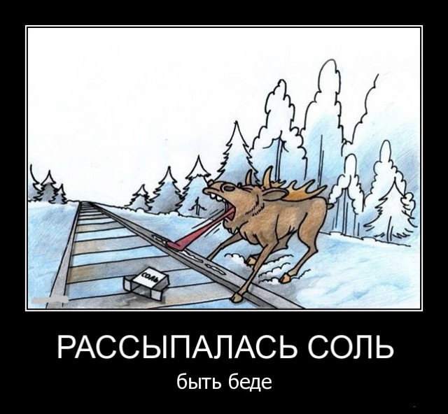 Подборка интересных и веселых картинок