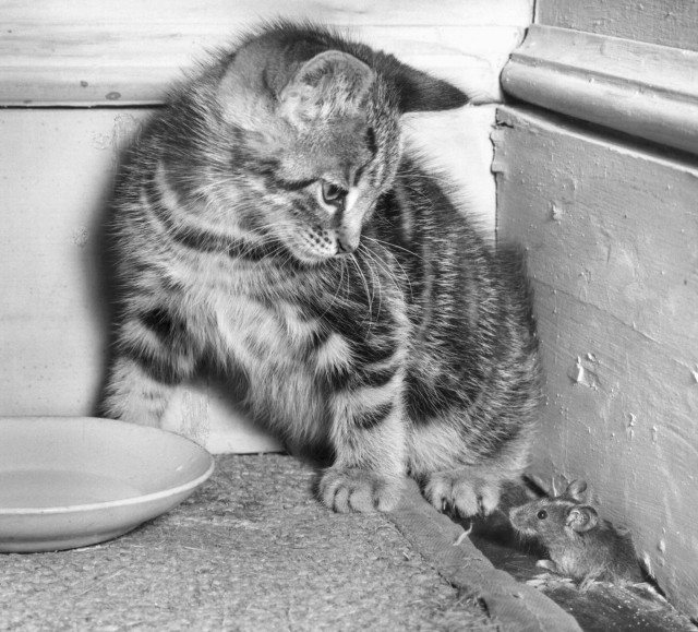 Интересные фотографии из прошлого