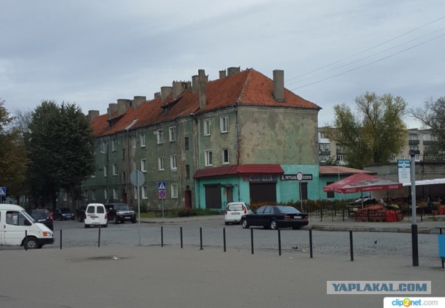 Очарованная Калининградом