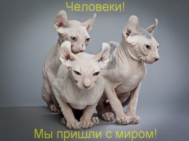 30 вещей, которые отнял у нас интернет