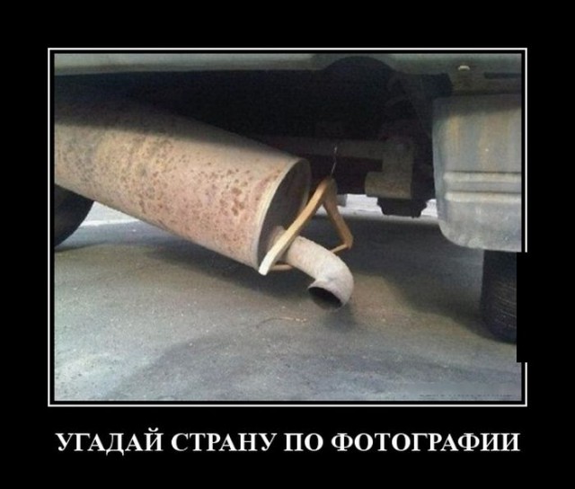 Много картинок