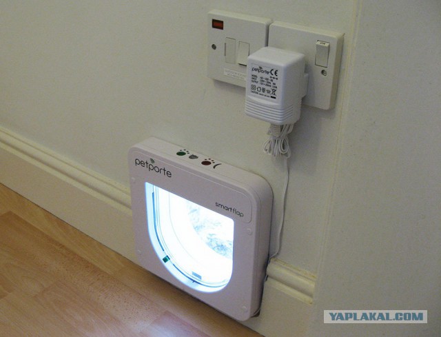 Дом для кота