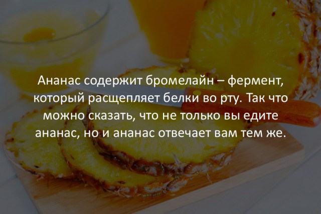 40 интересных фактов в картинках.