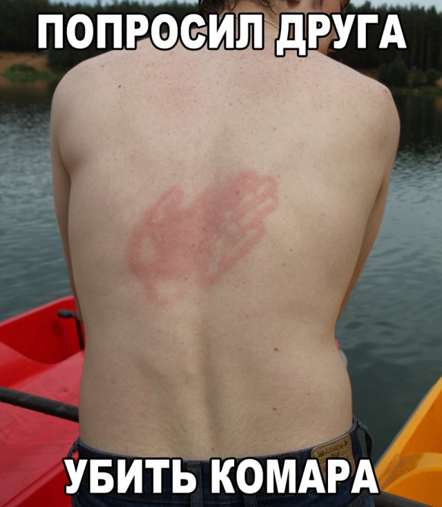 Подборка безудержного веселья