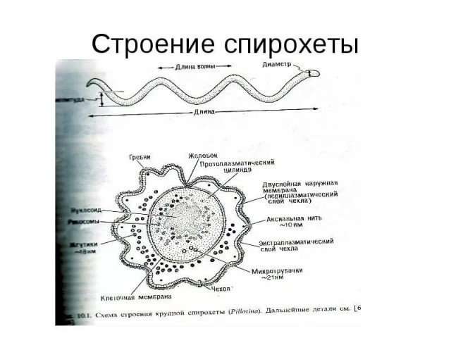 Символ медицины в зависимости от специализации