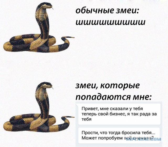 Смешные и не очень жипэги..