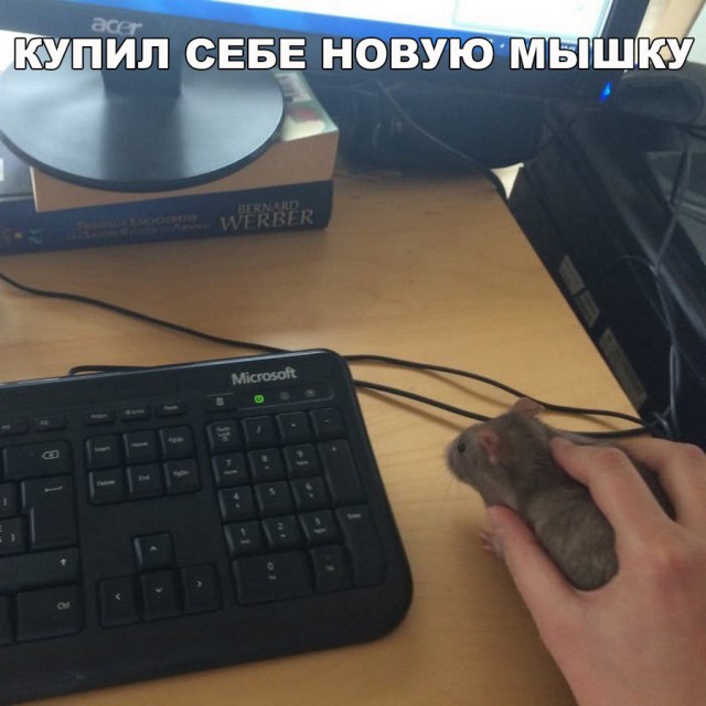 Смешные и не очень картинки из этих ваших интернетов