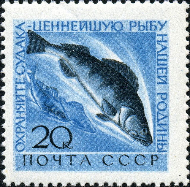 Подборка интересных и веселых картинок