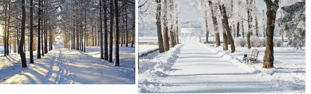 А почему собственно луноспор до сих пор?