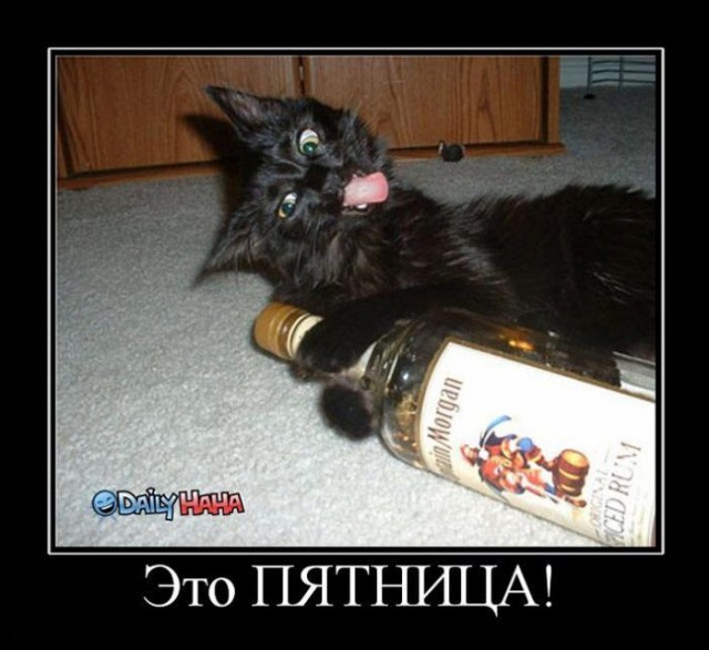 Картинки для настроения в пятницу.