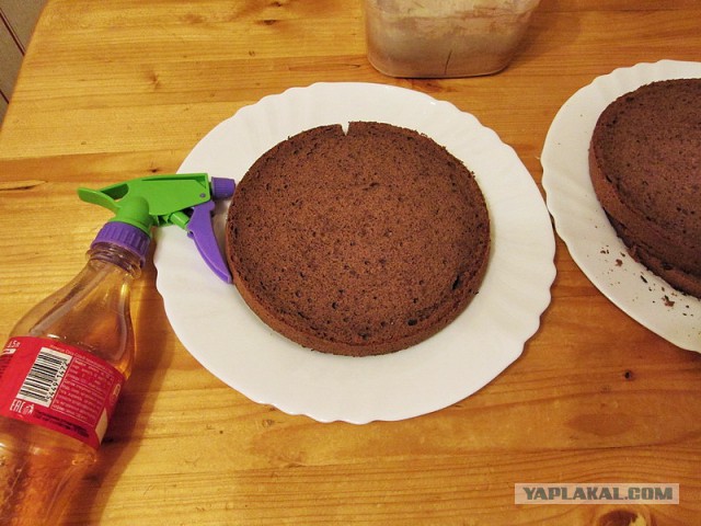 Торт «Прага» классический.