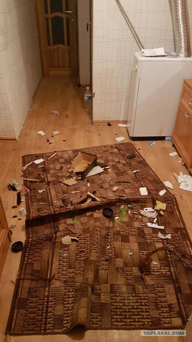 Здравствуй, пиздец!