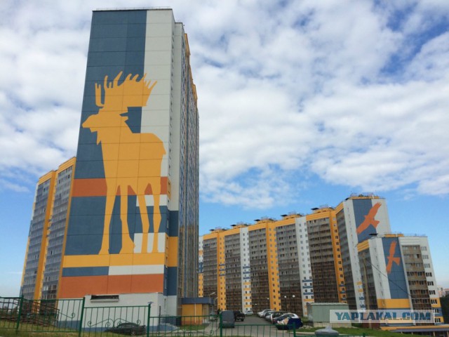 Удивительно. Новосибирск