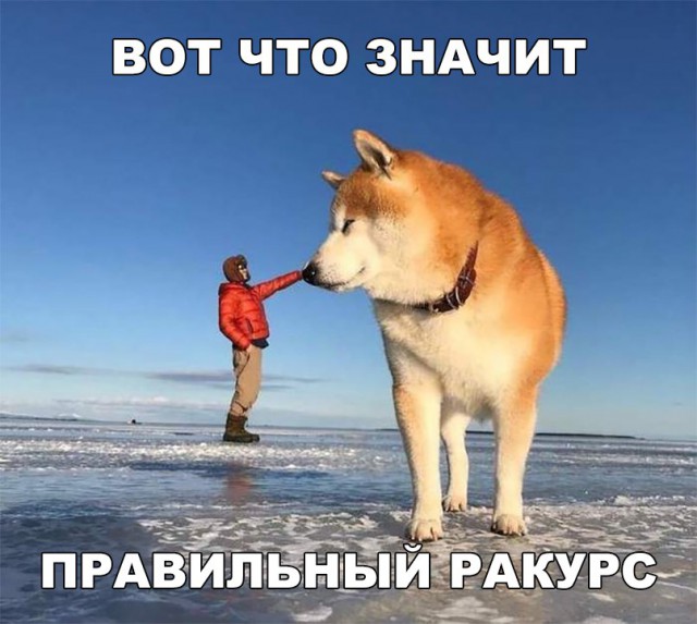 Нестандартный юмор