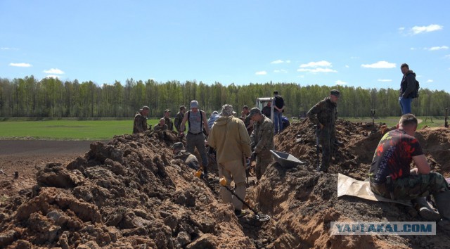 И они вернулись с войны...