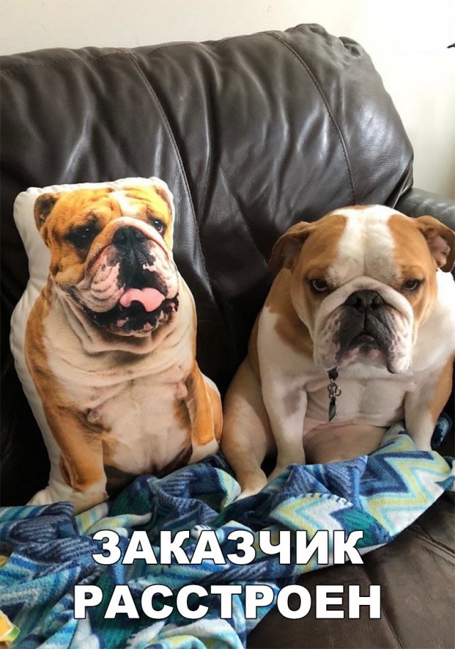 Нестандартный юмор