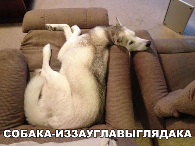 Нестандартный юмор