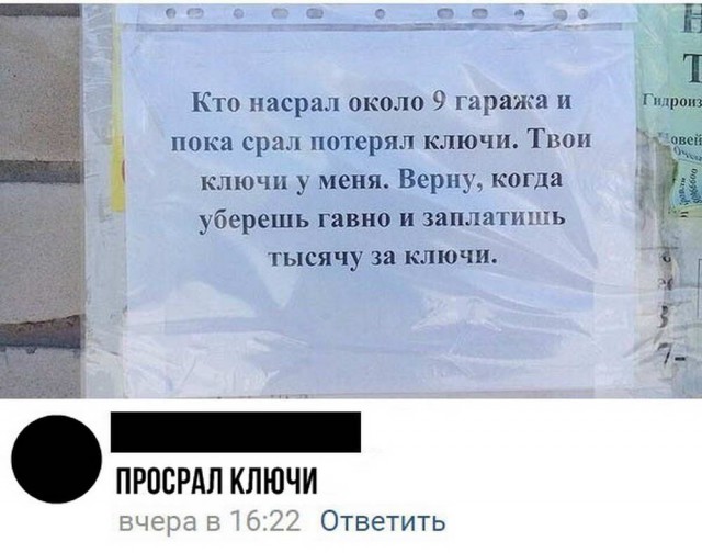 Скотсети и прочие интернеты 22.08.18