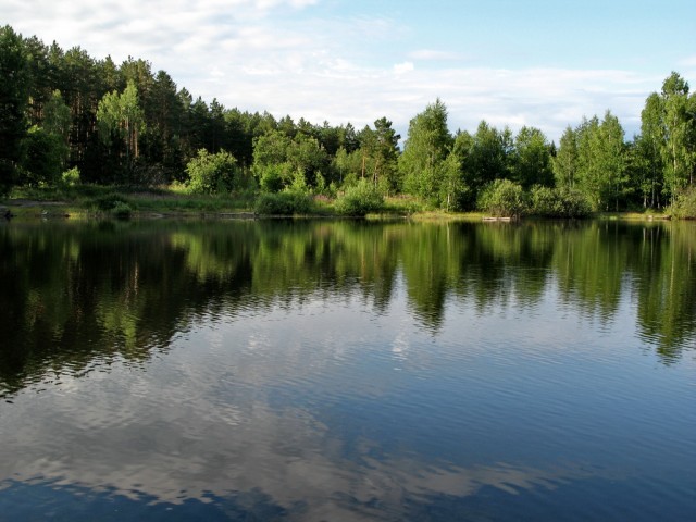 ВЕСНА. Цветы
