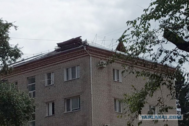По всем центральным каналам! Кроме РЕН-ТВ.