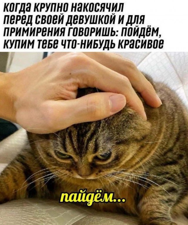 Картинки с надписями, истории и анекдоты 03.01.20