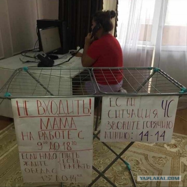 Как мама работает удалённо