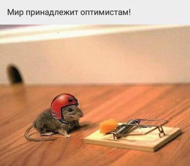 Бредзона 01.05.20