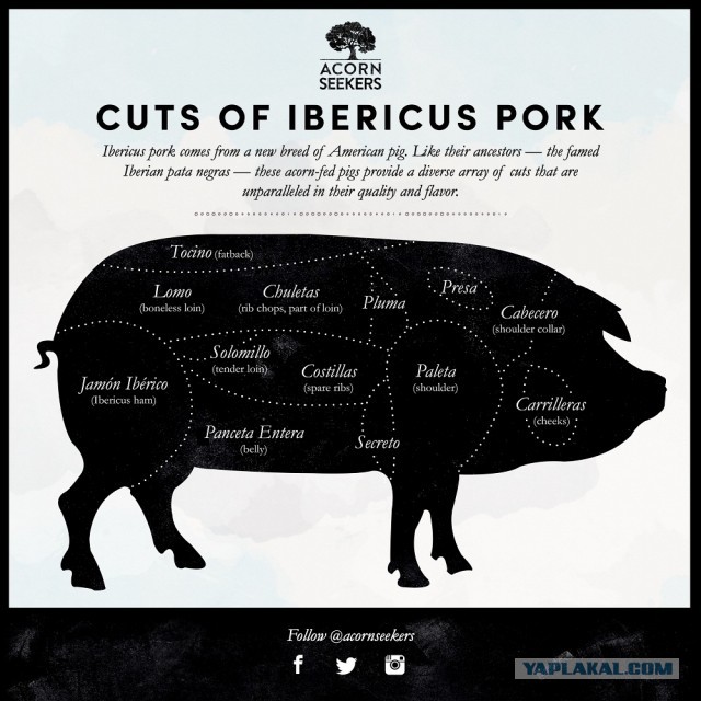 Как один парень решил переехать жить в Мадрид... а потом через пару лет плюнул и вернулся обратно