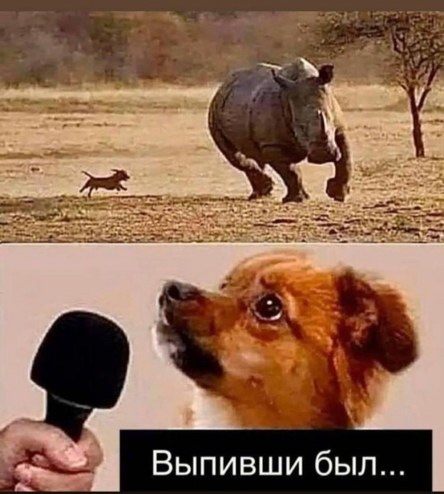 Картинки обо всём и не о чём