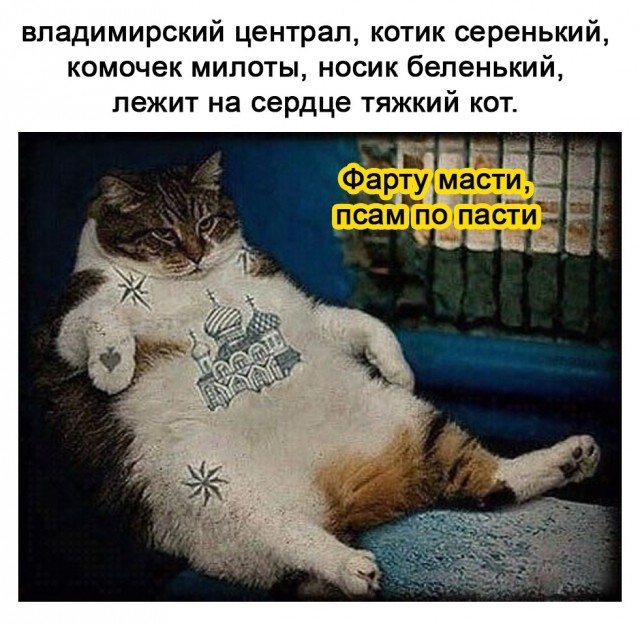 Картинки и мемы для настроения