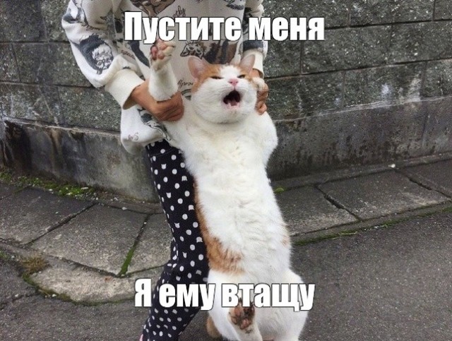 Женщина за 50 никому не нужна