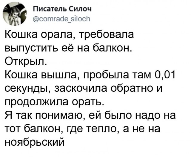 Так себе картинки 09.11.21